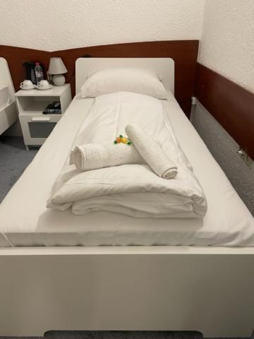 Hotel Starlight フランクフルト エクステリア 写真